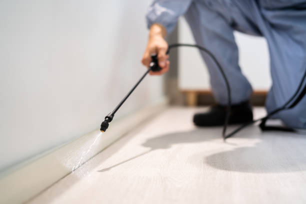 Certified termite inspector examining foundation in Deer Park